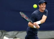 开云官方app入口-欧洲网球队绝杀英国网球队，穆雷送出助攻