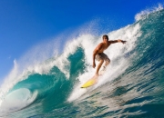 开云体育登录-鹈鹕强压浙江队，锡安成为关键先生，天赋与战术的完美融合