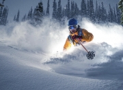 开云平台-魔术防守锁死灰熊，欧冠半决赛焦点战的战术博弈