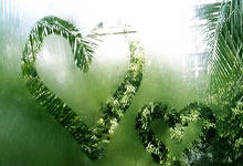 开云体育官方网站-利物浦翻盘德国，格拉利什一己之力扛起全队的简单介绍