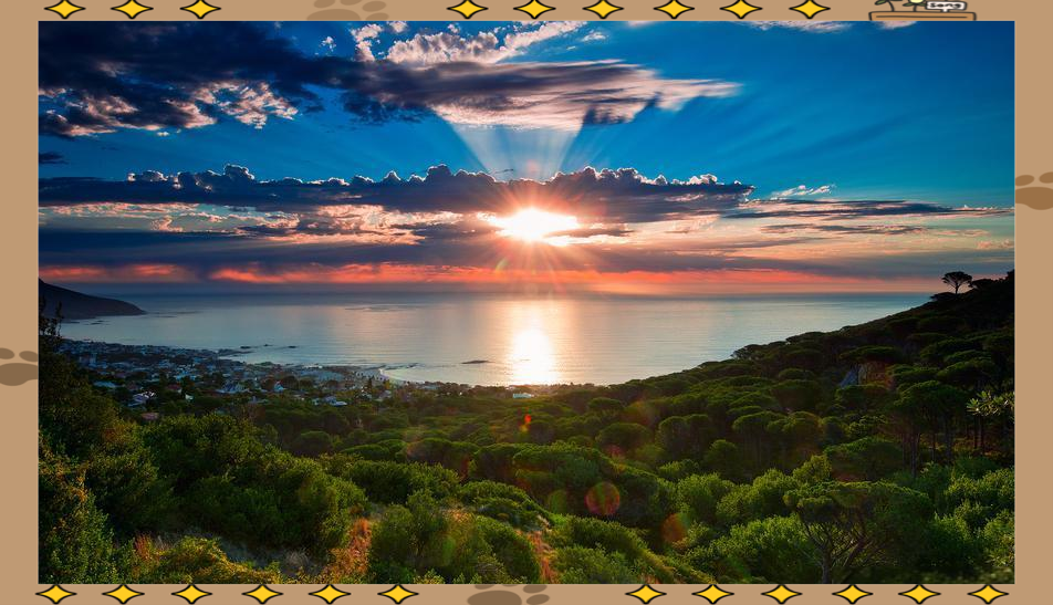 汉堡球队面临逆境,需要信念和努力才能突破 汉堡球队面临逆境,需要信念和努力才能突破