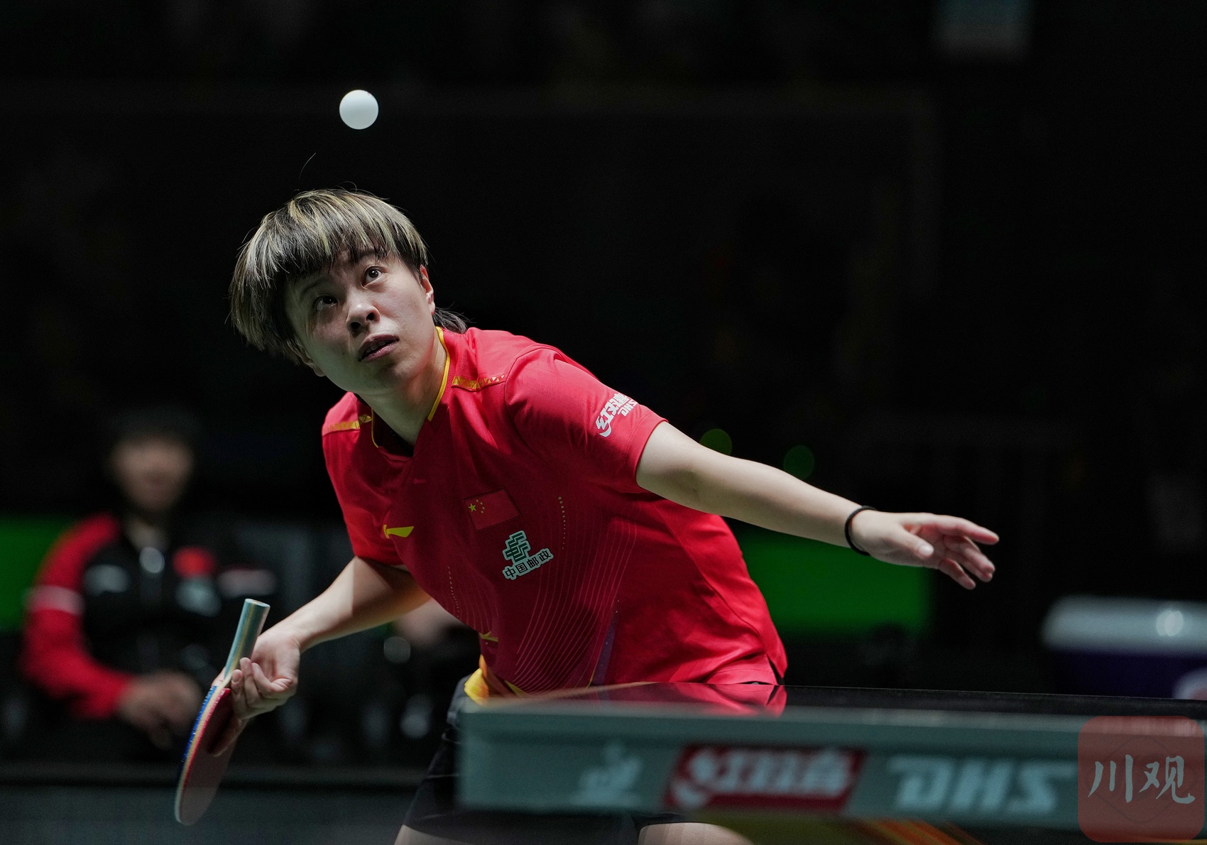 关于瑞典乒乓球队绝杀德国乒乓球队，许昕打破历史纪录的信息